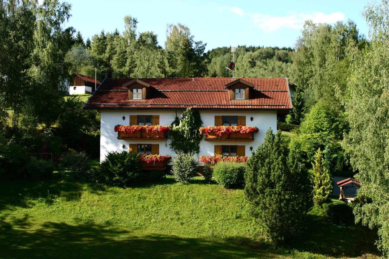 Ferienwohnungen Haus Wildschütz Frauenau Exterior foto