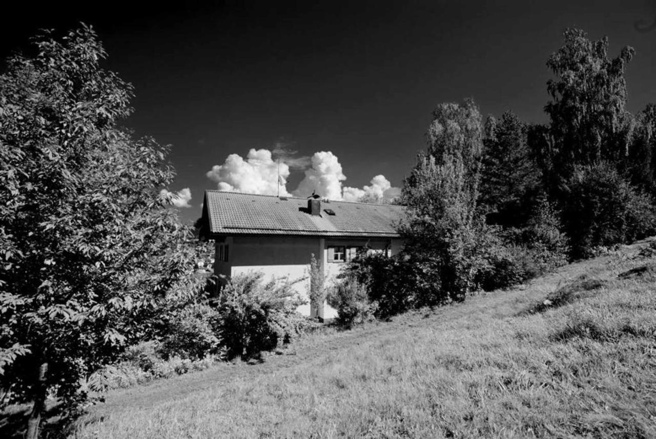 Ferienwohnungen Haus Wildschütz Frauenau Exterior foto